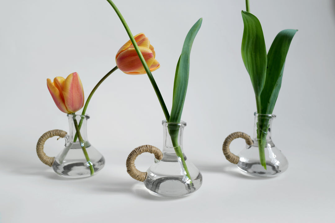 Glass Jug with Jute handle