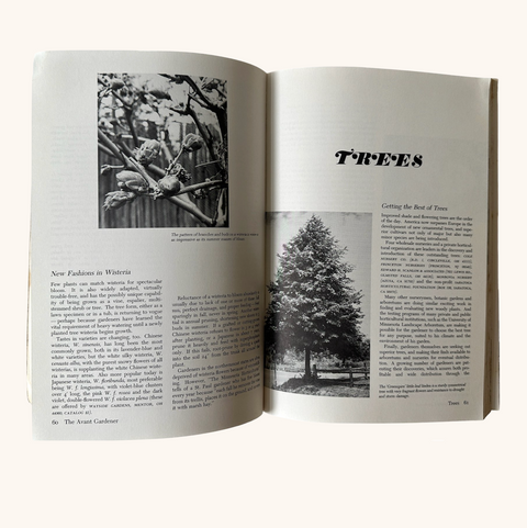 The Avant Gardener