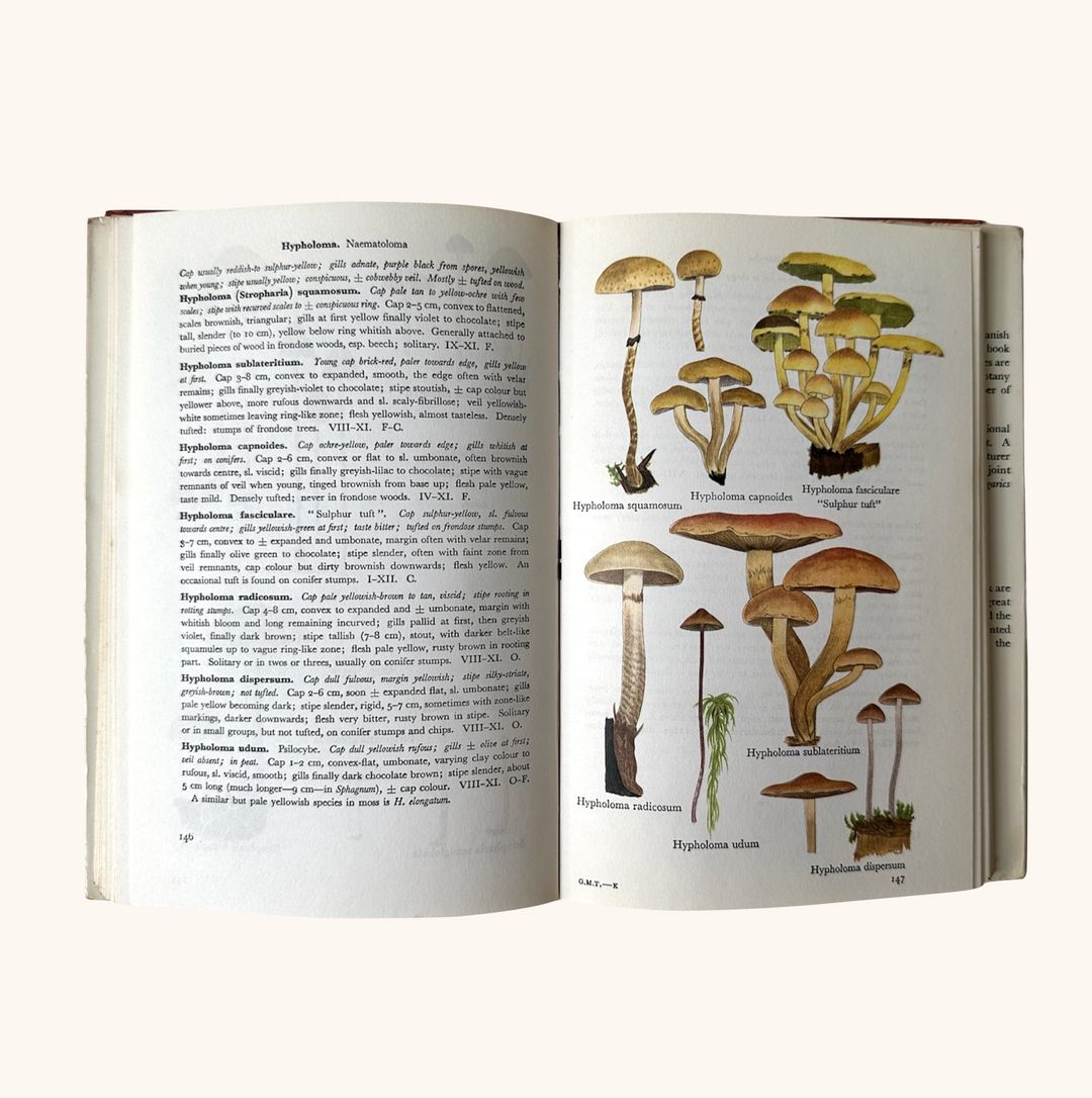 Collins Guide to Mushrooms & Toadstools