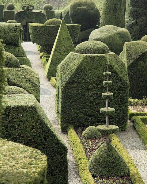 ELEMENTAL FORMS: NOTES ON TOPIARY AND SCULPTURE