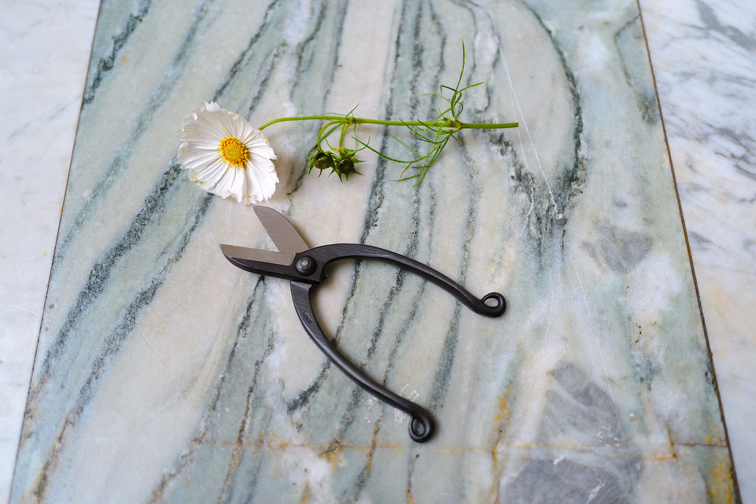 Niwaki Sentei Ikebana