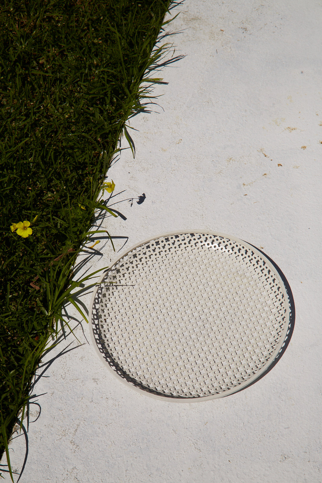 Mathieu Mategot Tray